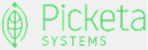 Picketa Systems Inc.