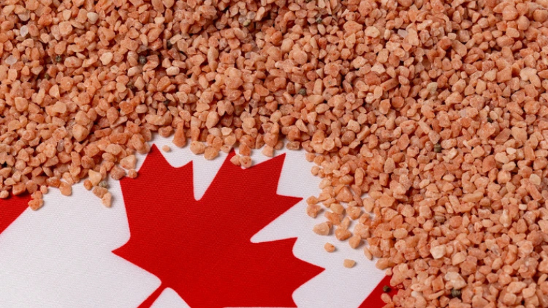 Tariff Trouble Takes Root in America’s Fields