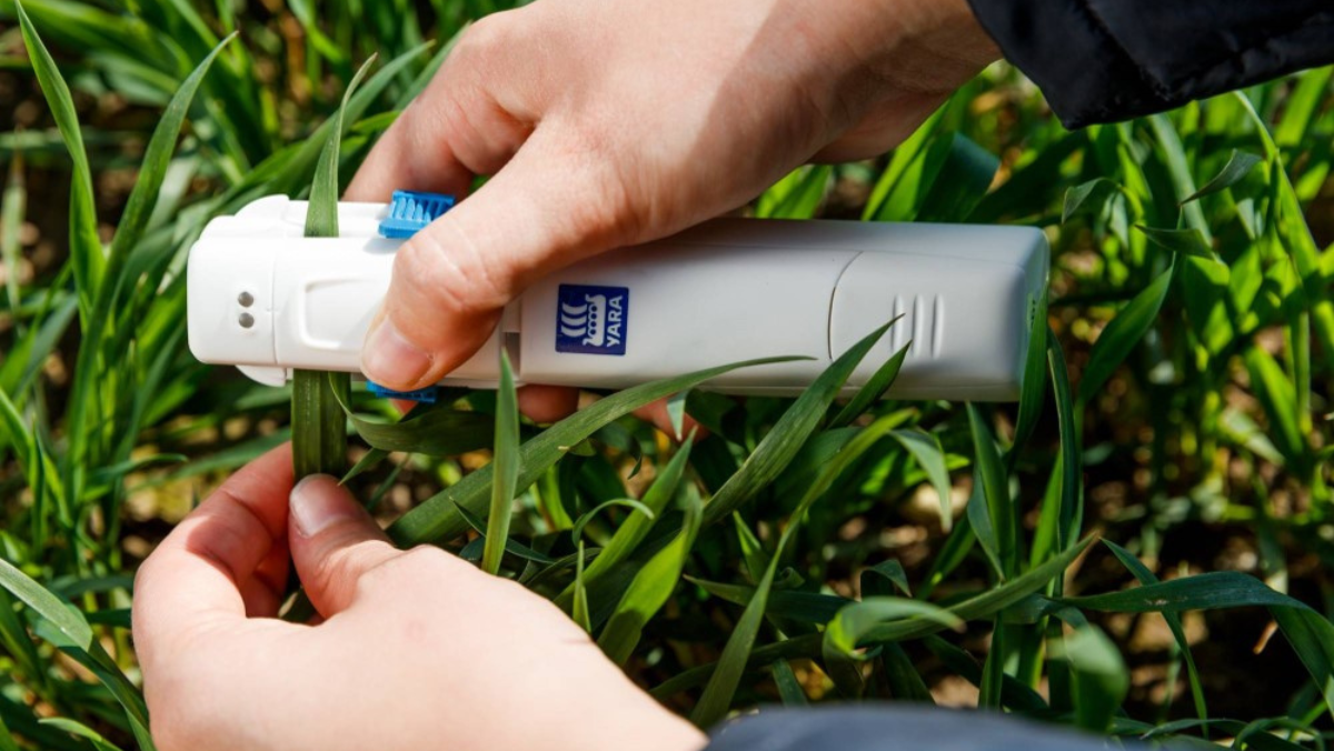 Handheld crop sensor measuring nutrient levels in field plants